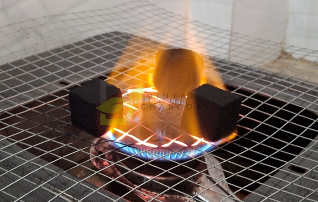 bintan charcoal