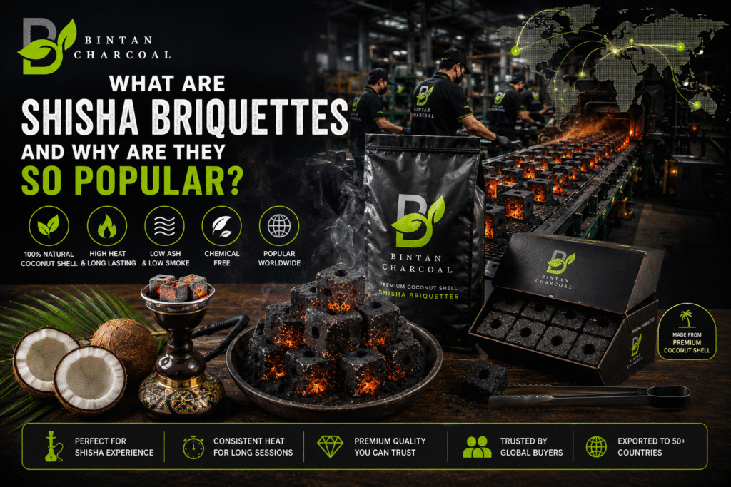 shisha briquette for hookah