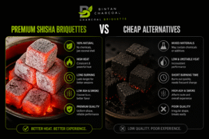 Premium Shisha Briquettes vs Cheap Alternatives: Which Is Better?