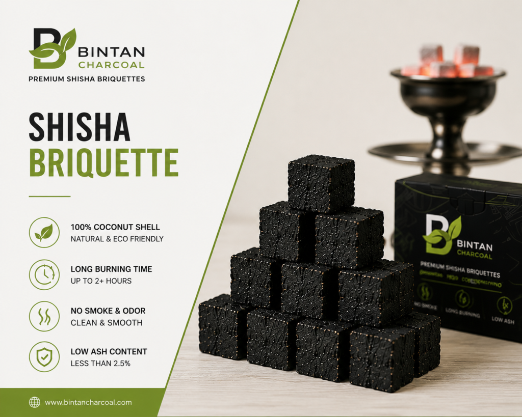 Shisha Briquette: Complete Guide to Premium Coconut Charcoal