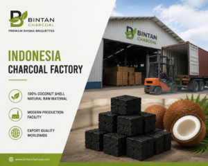 Indonesia Charcoal Factory | Premium Shisha Charcoal Manufacturer