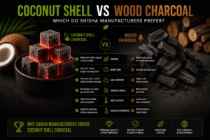 Coconut Shell vs Wood Charcoal: Which Do Shisha Manufacturers Prefer?