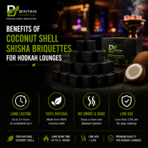 Benefits of Coconut Shell Shisha Briquettes for Hookah Lounges