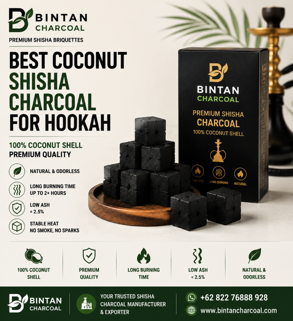 Best Coconut Shisha Charcoal for Hookah
