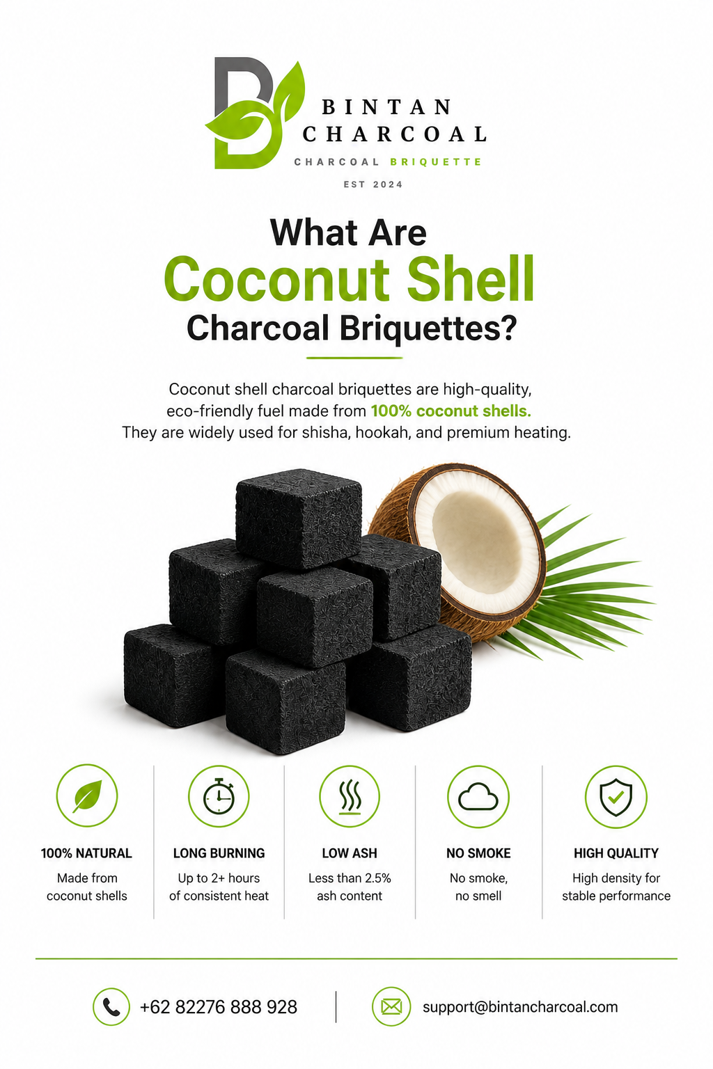 What Are Coconut Shell Charcoal Briquettes? | Complete Guide